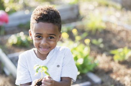 little boy in garden with a plant