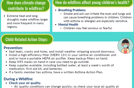 Image of a wildfires fact sheet published by the American Public Health Association