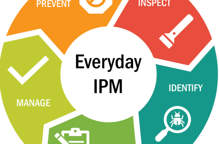 Everyday IPM Wheel (Inspect, Identify, Monitor, Manage, Prevent)