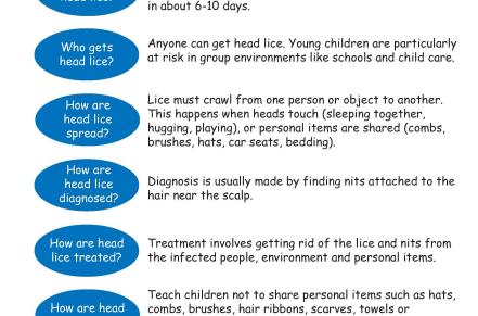 Poster about how to treat head lice