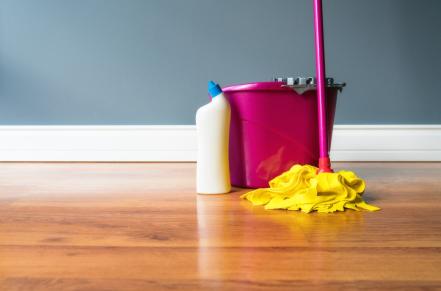 Bucket with mop on floor