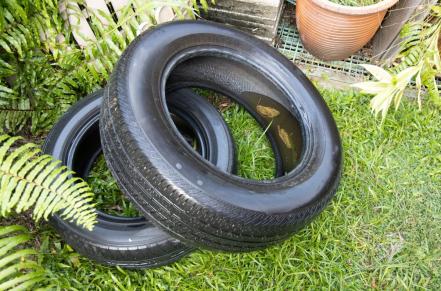 Tires with standing water in yard: a mosquito breeding ground