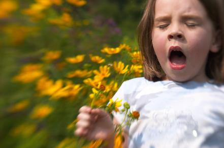 Child sneezing in field of flowers