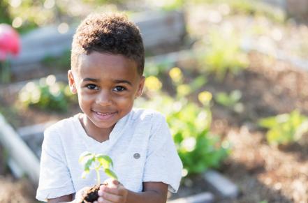 Boy holding plant in garden