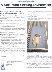Safe Sleep Fact Sheet for Families