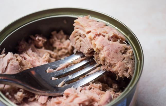 Canned fish open with fork